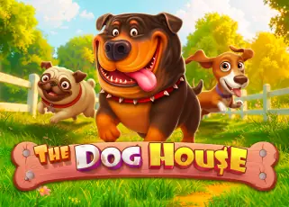 tong998 The Dog House ทดลองเล่นฟรี